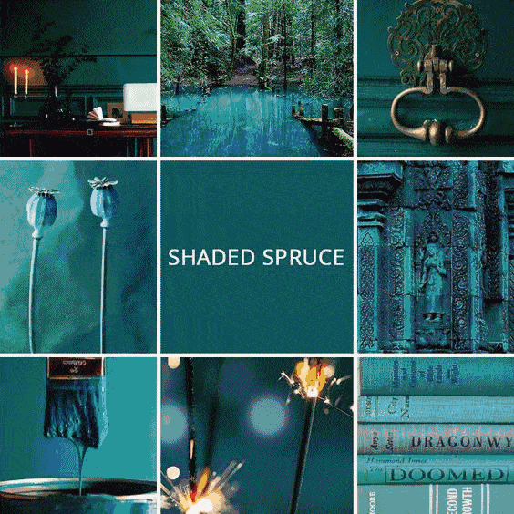 1624082945458288.gif 微信圖片_20210619140840.gif