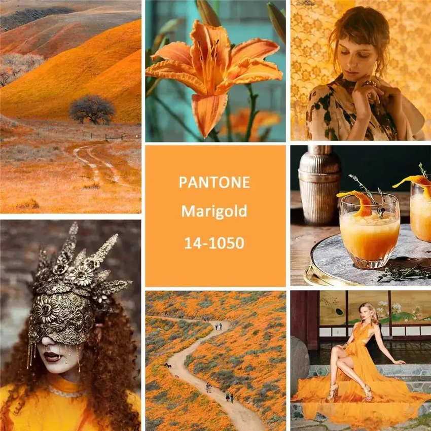 1624083096102936.jpg 微信圖片_20210619141104.jpg