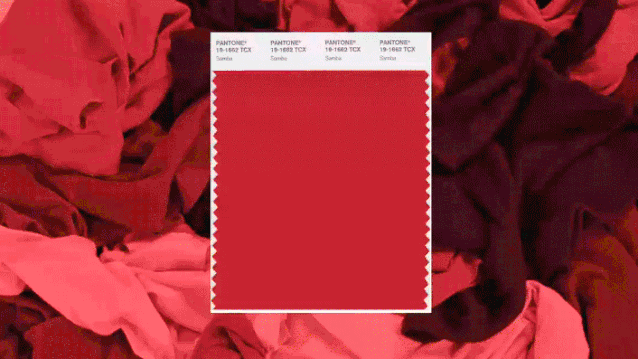 1624091892120411.gif 微信圖片_20210619163748.gif