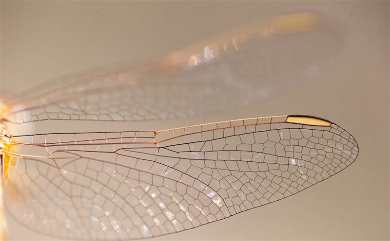 1666857729.jpg 微信圖片_20221027160302.jpg