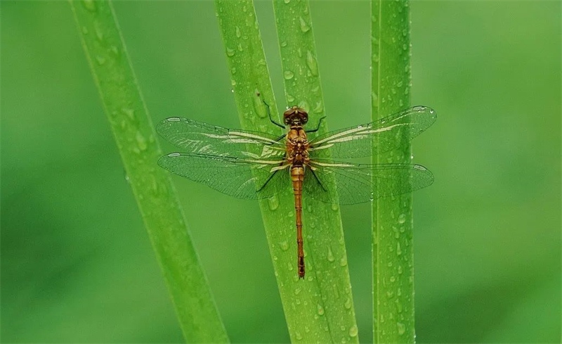 1666857747.jpg 微信圖片_20221027160330.jpg