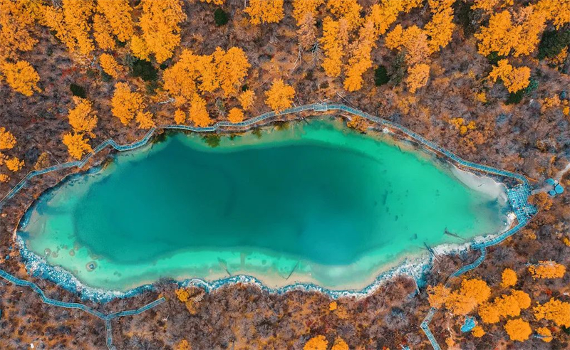 1666857901.jpg 微信圖片_20221027160602.jpg