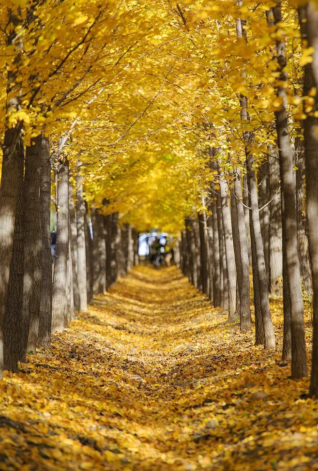 1672731955.jpg 微信圖片_20230103154721.jpg